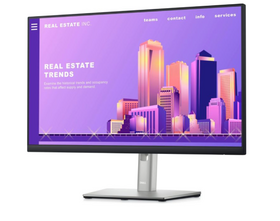 Dell P2422H 23.8" FHD IPS Monitor with HDMI, DP, VGA and USB | Eid Offers